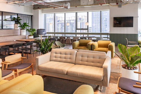 Cozy Lounge Area in Modern Office Space With Plants and Seating