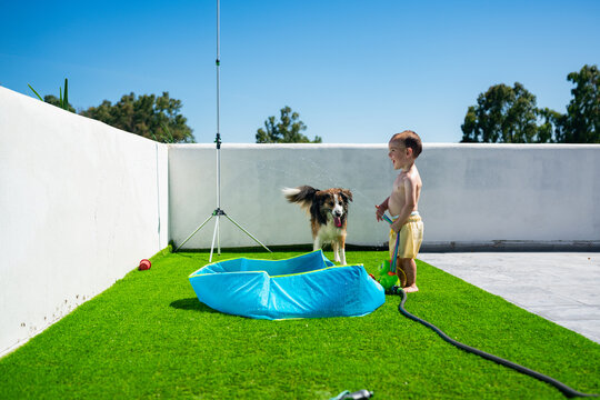 Toddler and dog playing with water in summer