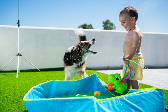 Toddler playing with dog in pool