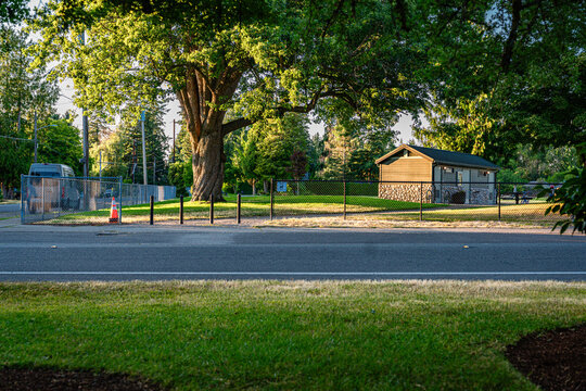 Burien City Park Evening