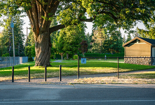 Burien City Park Evening 2