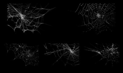 Intricate spider web PNG overlay set with realistic silk patterns isolated on a transparent background for design © Mavric