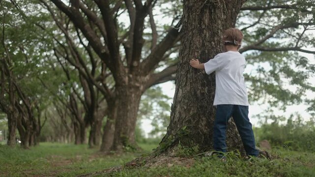 Sweet young Asian boy wearing an aviator hat standing under large green tree canopy, leaning on the massive tree trunk and looking up into the sky with imagination and freedom.