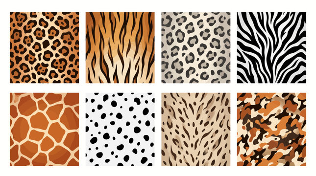 Vibrant collection of wild animal skin patterns featuring leopard spots zebra stripes and giraffe patches in a professional vector illustration