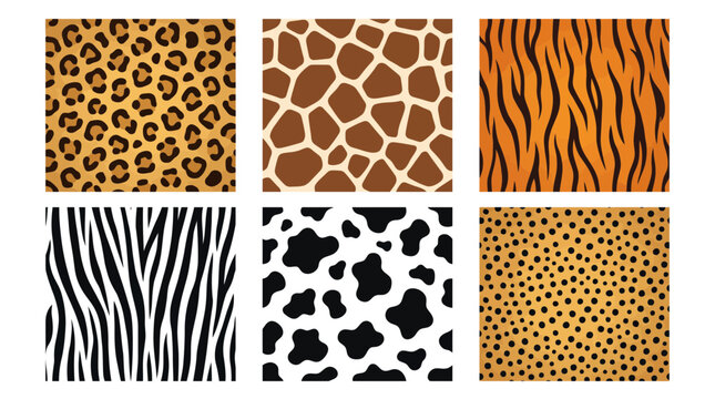 Seamless vector graphic collection featuring various animal fur textures like leopard spots giraffe patches tiger stripes and cow hide patterns