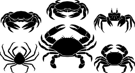Variety of black silhouette crabs marine crustaceans collection for graphic design and nautical themes © KaziDalia