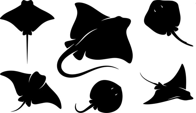 Variety of stingray silhouettes black and white marine life vector illustrations for design projects