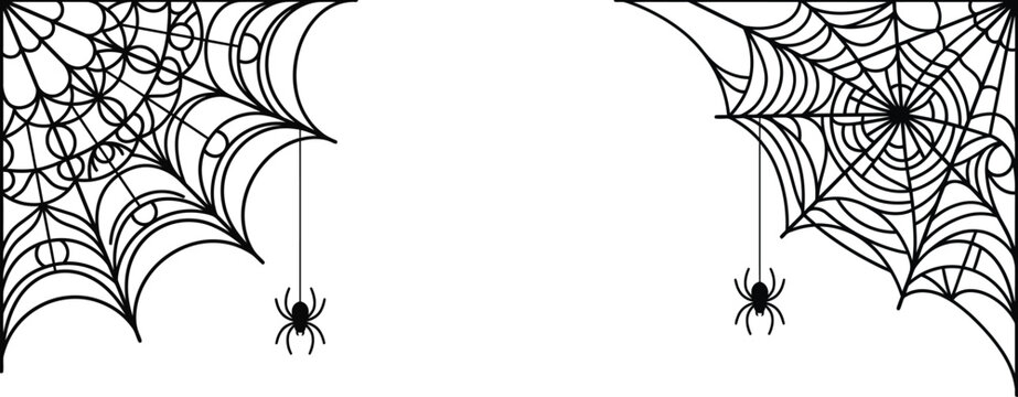 Spiderwebs and spiders black and white vector illustration on white background