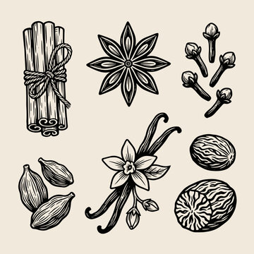 Linocut spice illustration with cinnamon, star anise, clove, cardamom, vanilla, nutmeg on cream background