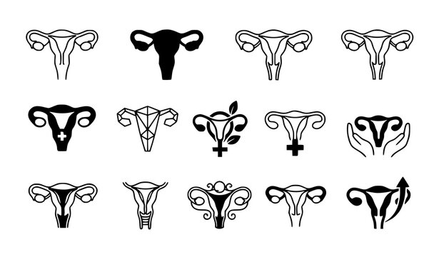 Decorative Uterus Anatomy Symbol Collection with Women's Health Medical Vector Illustration Pack