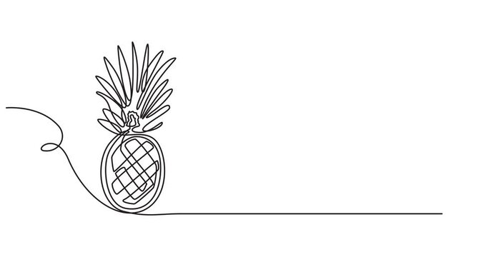 Animated self drawing of single continuous line draw whole healthy pineapple organic for orchard logo identity. Fresh summer fruitage concept for fruit garden icon. Full length one line animation.
