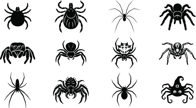 Set of various spider and insect icons in silhouette style