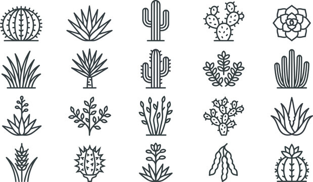 Minimalist Desert Cactus and Succulent Plant Line Icons Collection for Botanical and Nature Design Projects