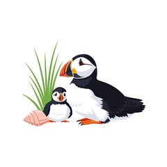 Fototapeta premium Adorable puffins, one adult and a chick, rest near a seashell and sea grass on a white background