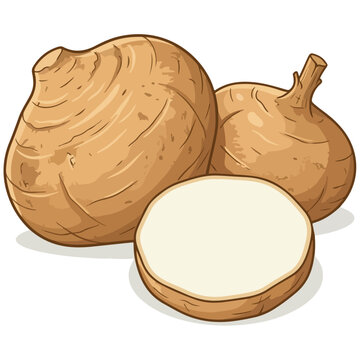 Jicama Root Vegetable Illustration with Cut Slice