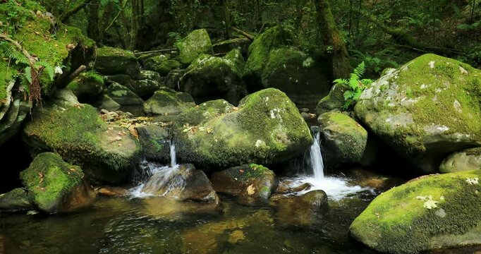 View of the waterfalls on the River Gorgua, Freans, in Ourense, Galicia, Spain.