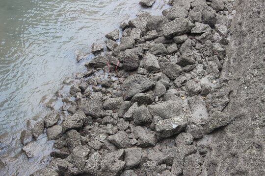 Muddy riverbank with various sizes of rocks and debris near murky water.