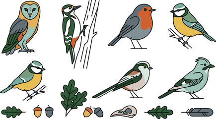Forest birds and natural woodland elements set featuring owl woodpecker robin and blue tit flat line illustration © SreemotiDoya