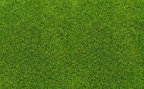 Grass seamless aerial top view texture of green sports field grass pitch. Background for golf, soccer, football
