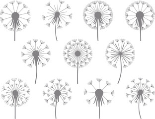Una colección de diez siluetas grises de flores de diente de león aisladas sobre un fondo blanco liso para proyectos © Rifat