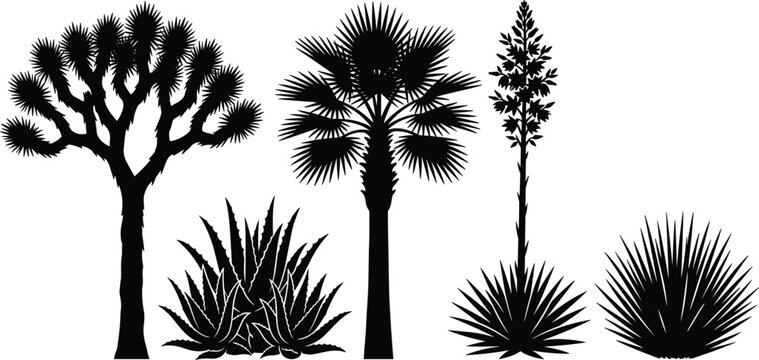 Set of desert plant silhouettes including joshua tree agave palm and yucca for landscape architecture and design