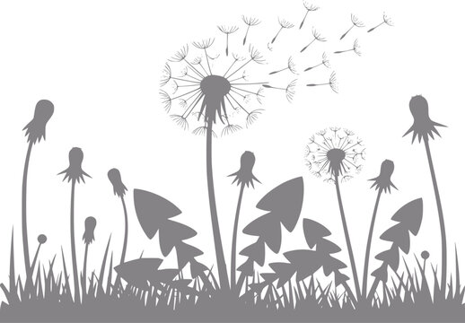 Una silueta de flores de diente de le&oacute;n con semillas volando al viento sobre fondo blanco