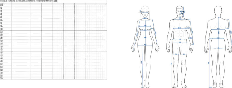 Men's and Women's Standard Clothing Measurement Charts and Anatomical Diagrams Keywords: men, women, standard, clothing, measurements