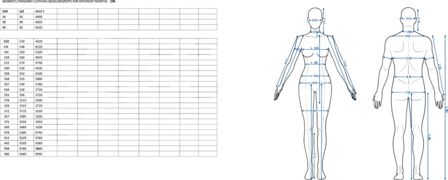 Women's Standard Clothing Measurement Charts and Anatomical Diagrams with Dimensions Keywords: women, standard, clothing, measurements