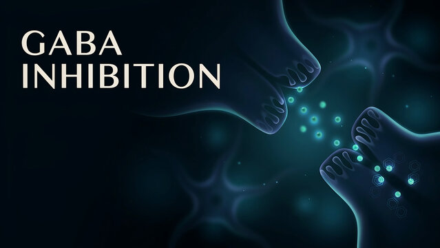 Illustration of GABA inhibition showcasing the interaction between neurons and the release of neurotransmitters in the human brain for educational purposes
