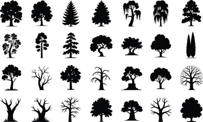 Fototapeta premium Set of black tree silhouettes isolated on white background for landscape design and graphic projects