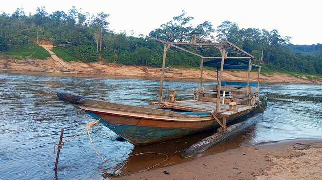 Collection of natural landscapes, tropical vegetation, rivers, forests, and rural scenes in Kalimantan, Indonesia. Showcasing the region&rsquo;s biodiversity, river ecosystems, local activities, and the bea