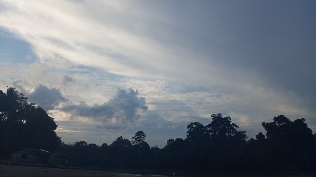 Collection of natural landscapes, tropical vegetation, rivers, forests, and rural scenes in Kalimantan, Indonesia. Showcasing the region&rsquo;s biodiversity, river ecosystems, local activities, and the bea