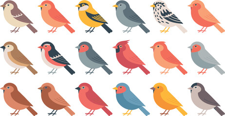 Fototapeta premium Vector illustration collection of diverse colorful cute birds, flat cartoon style isolated songbirds set on white background.