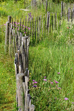 decorative wooden fence in a summer meadow