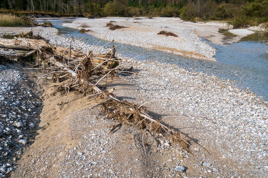 Kompletter Trockenfall der Isar, deren Wasser bei Kr&uuml;n in einem Kanal zum Walchensee abgeleitet wird und das Restwasser bei Wallgau unter einer meterdicken Kiesschicht versickert.