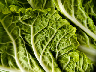 Fototapeta premium Close-up detailed background texture of fresh green Napa cabbage leaves