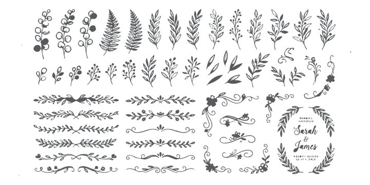 Set of hand drawn floral branches leaves dividers and wedding frames for decorative design
