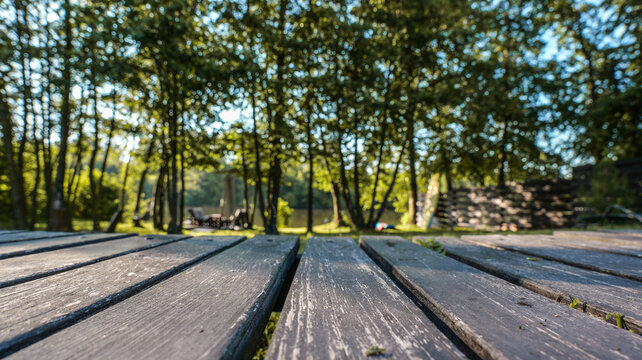 Wooden deck overlooking a serene lake surrounded by lush green trees on a sunny day