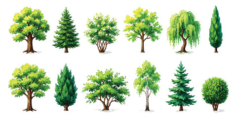 Set of various green trees collection including deciduous and coniferous species for landscape design © md