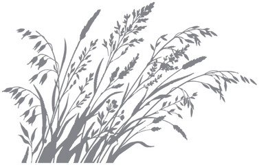 Obraz premium botanical grass silhouette shadow vector with wild meadow plants for elegant natural backgrounds