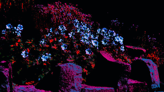 Abstract Posterized Wildflowers In Electric Blue And Crimson