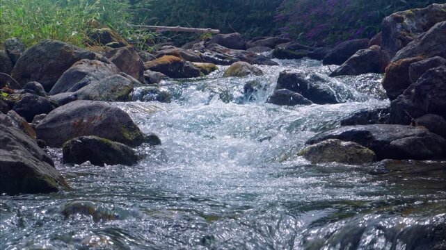 Fresh water of mountain stream flowing in summer. Trout fishing. Ariege Pyrenees France