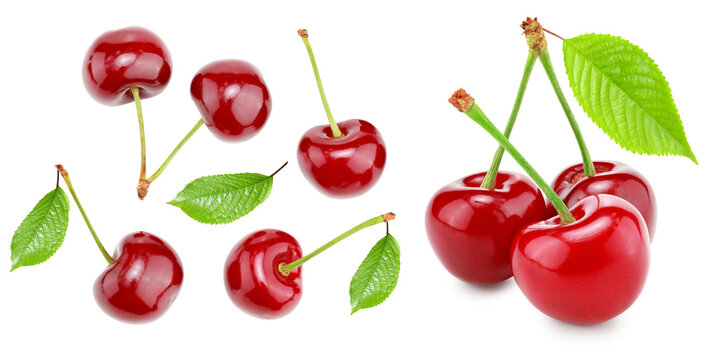 red cherry isolated on white background. clipping path