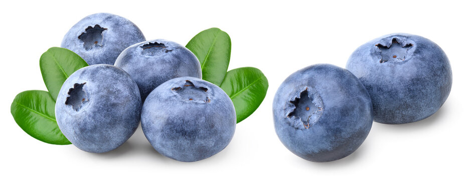 blueberries with green leaf isolated on white background. macro. clipping path