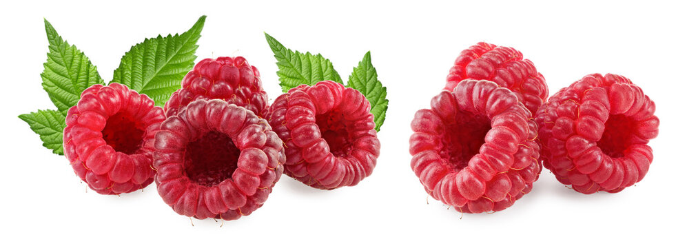 ripe raspberries with green leaves isolated on white background. clipping path
