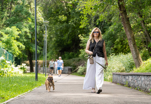 Woman walking happy French bulldog on leash in green park pathway on sunny summer day