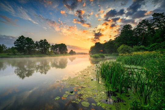 Beautiful summer sunset over the lake