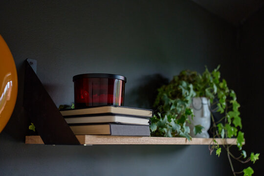 Floating wooden shelf with stacked books, candle and trailing houseplant against dark wall