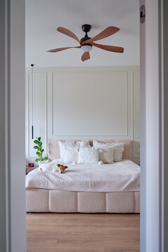 Ceiling fan installed above bed in modern bedroom with dog resting on bed