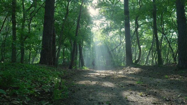 Man jogging on a foggy forest path with sunlight streaking through trees